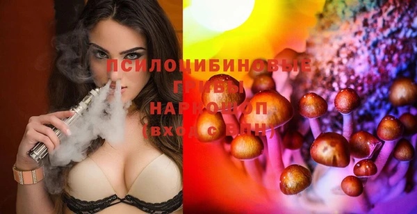мяу мяу мука Алексин